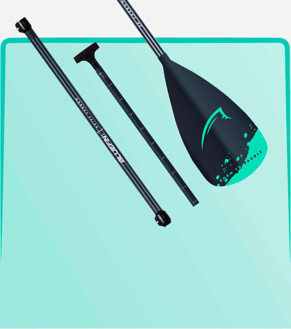 Three-piece paddle with black shaft and teal blade featuring 'Born to Paddle' design