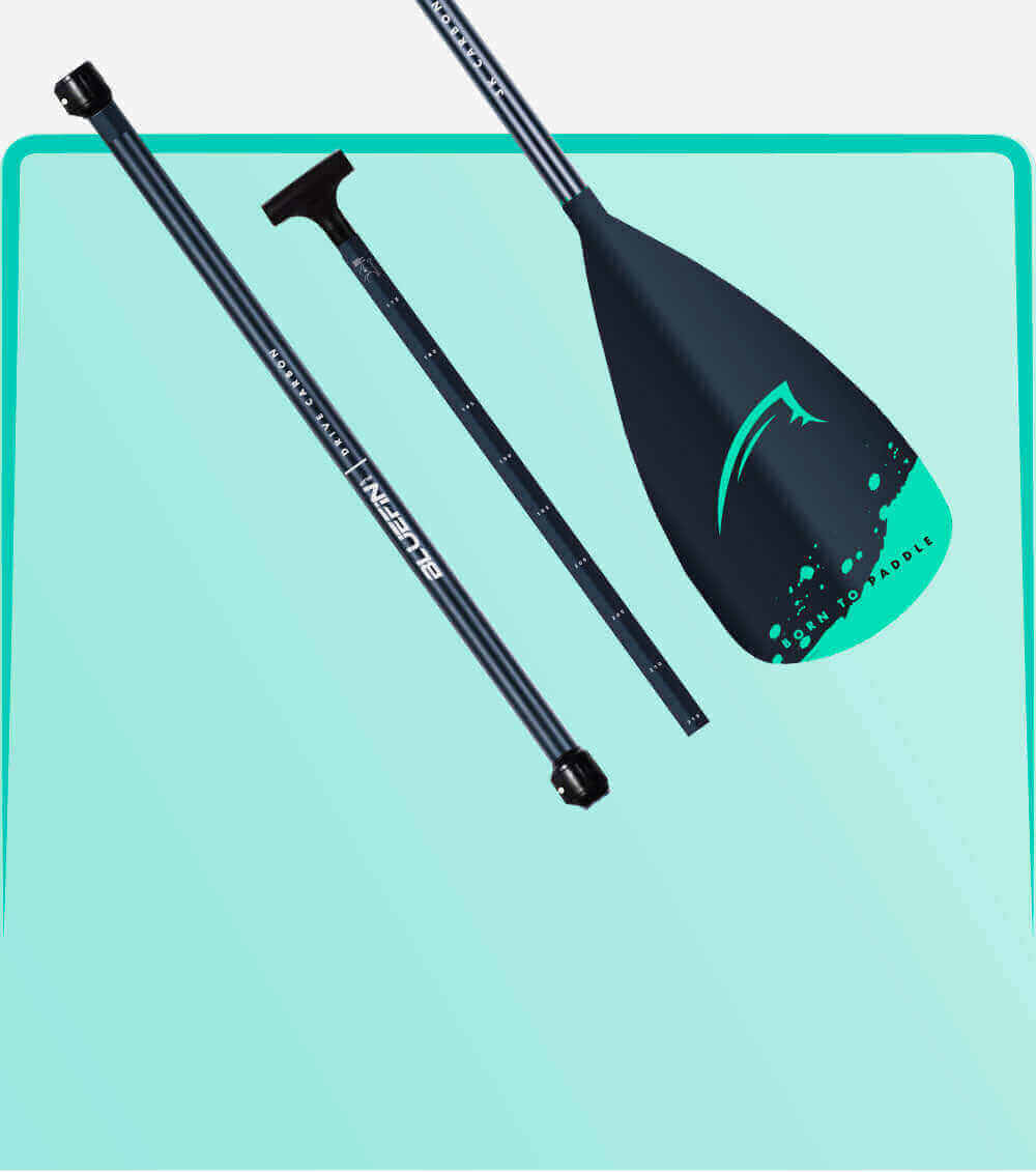 Three-piece paddle with black shaft and teal blade featuring 'Born to Paddle' design