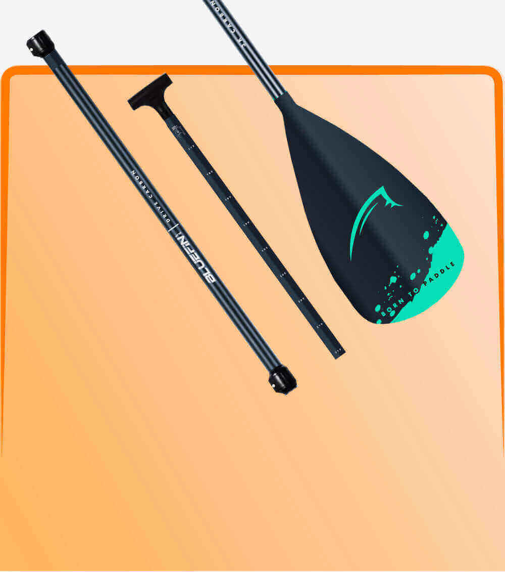 Three-piece paddle with black shaft and teal blade, featuring 'Born to Paddle' text.