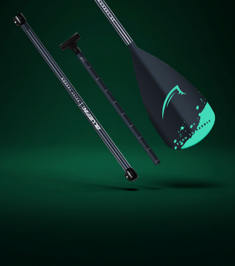 Three-piece paddle with a black shaft, T-grip handle, and teal blade with design.