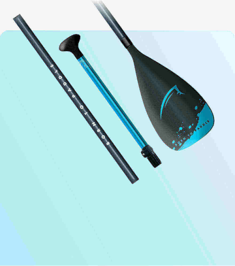 Paddle with a black blade, blue shaft, and black handle, arranged on a light blue background.