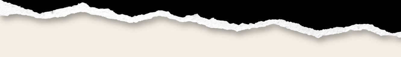 Torn paper texture with a jagged edge, contrasting black and cream colors, creating a layered effect.